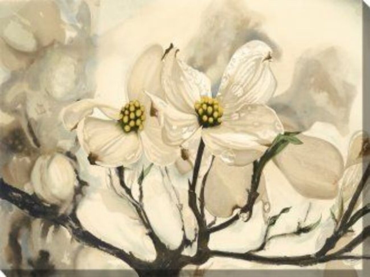 Outdoor Living and Style White and Brown Dogwood Watercolor Garden Outdoor Canvas Rectangular Wall Art Decor 30" x 40"